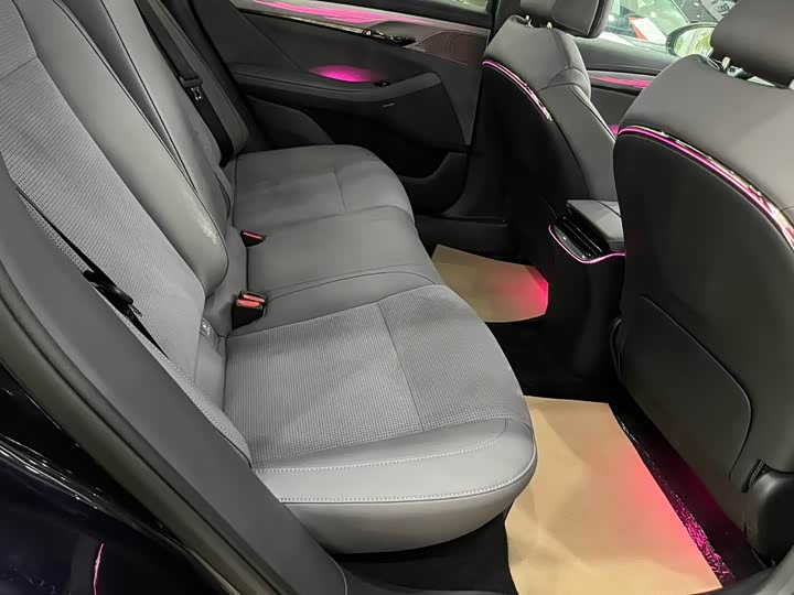 Voyah Passion 2024 2024款 PHEV 四驱超长续航旗舰版