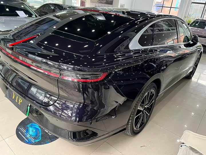 Voyah Passion 2024 2024款 PHEV 四驱超长续航旗舰版