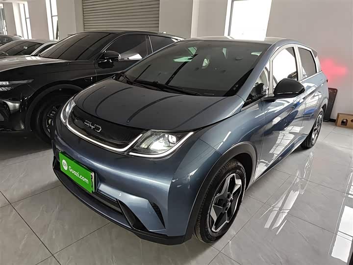 BYD Dolphin 2025 2025款 420km 活力版