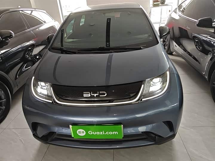 BYD Dolphin 2025 2025款 420km 活力版