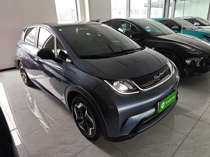 BYD Dolphin 2025 2025款 420km 活力版