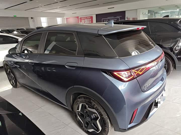 BYD Dolphin 2025 2025款 420km 活力版