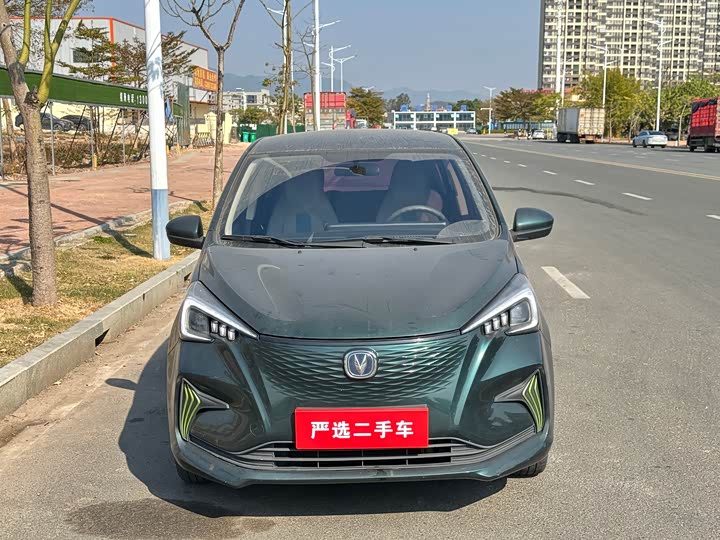 Changan BenBen E-Star 2022 2022款 赏心版 多彩款 三元锂
