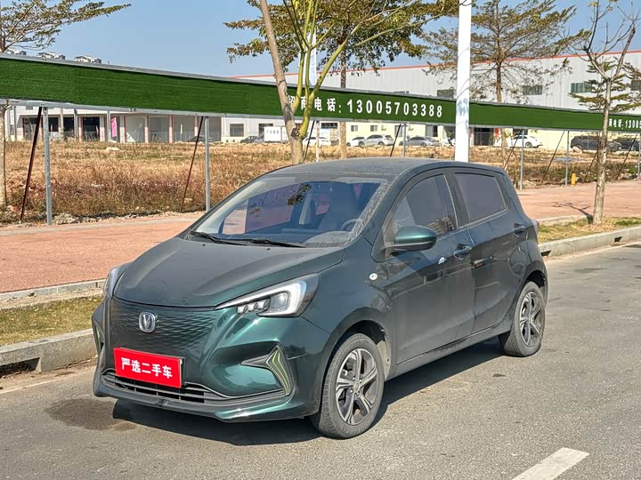 Changan BenBen E-Star 2022 2022款 赏心版 多彩款 三元锂