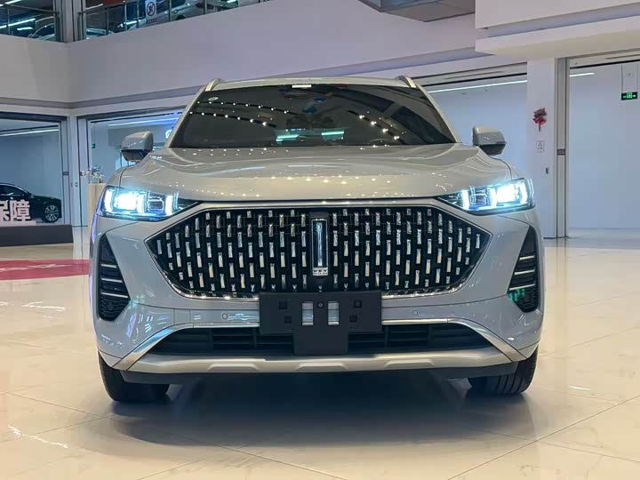 Wey Mocha 2021 2021款 2.0T 两驱特浓版