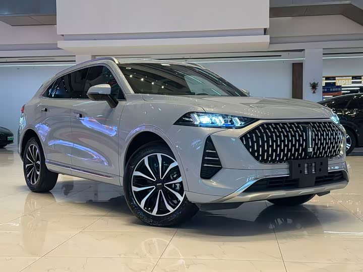 Wey Mocha 2021 2021款 2.0T 两驱特浓版