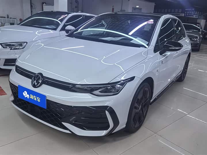 Volkswagen Golf 2025 2025款 300TSI R-Line