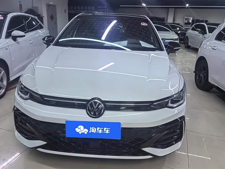 Volkswagen Golf 2025 2025款 300TSI R-Line