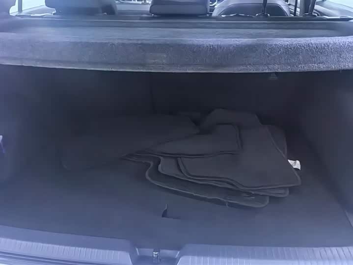 Volkswagen Golf 2025 2025款 300TSI R-Line