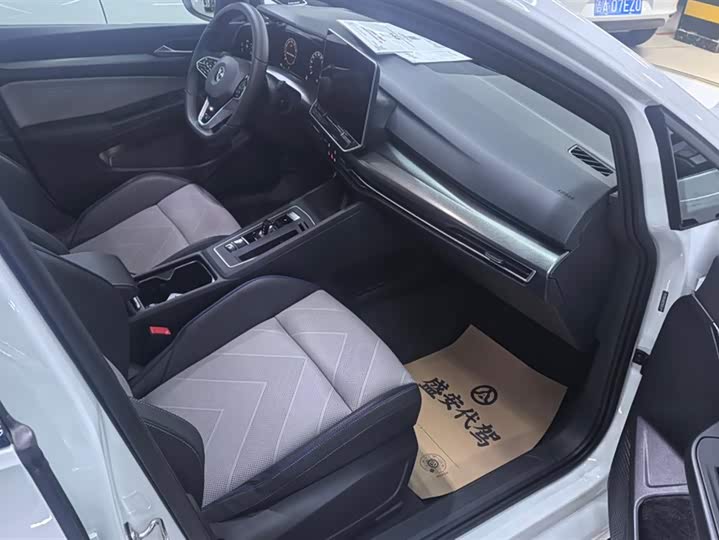 Volkswagen Golf 2025 2025款 300TSI R-Line