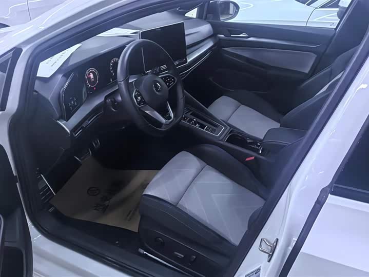 Volkswagen Golf 2025 2025款 300TSI R-Line