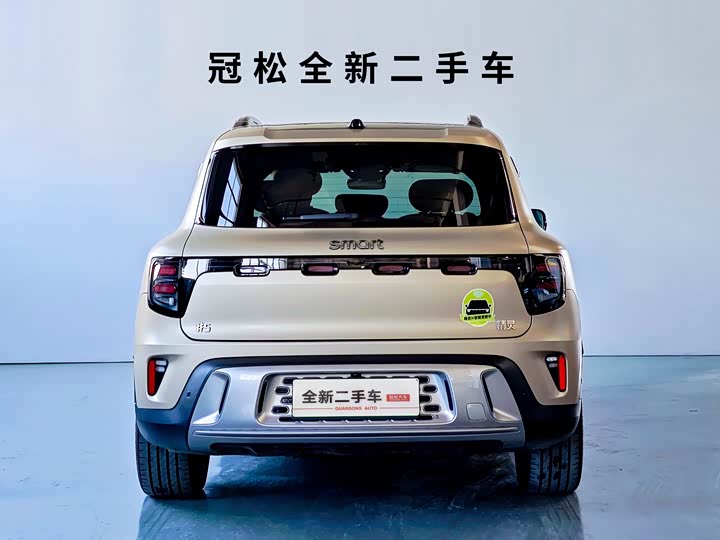 Smart #5 2024 2024款 超长续航奇旅 豪华版