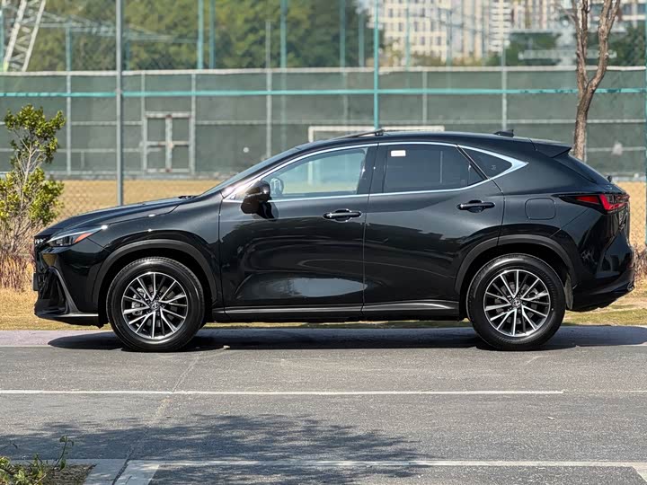 Lexus NX 2023 2023款 350h 前驱 创悦版