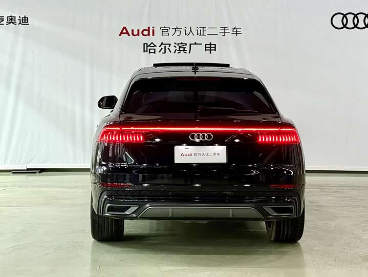 Audi Q8 2023 2023款 55 TFSI 豪华动感型