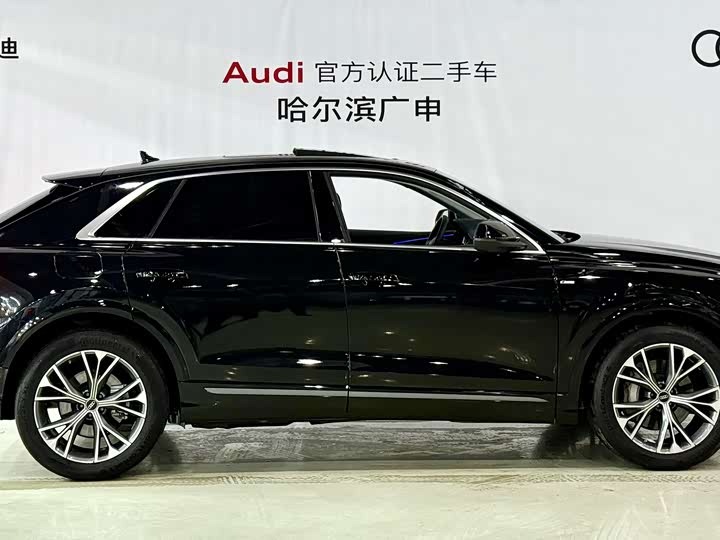 Audi Q8 2023 2023款 55 TFSI 豪华动感型