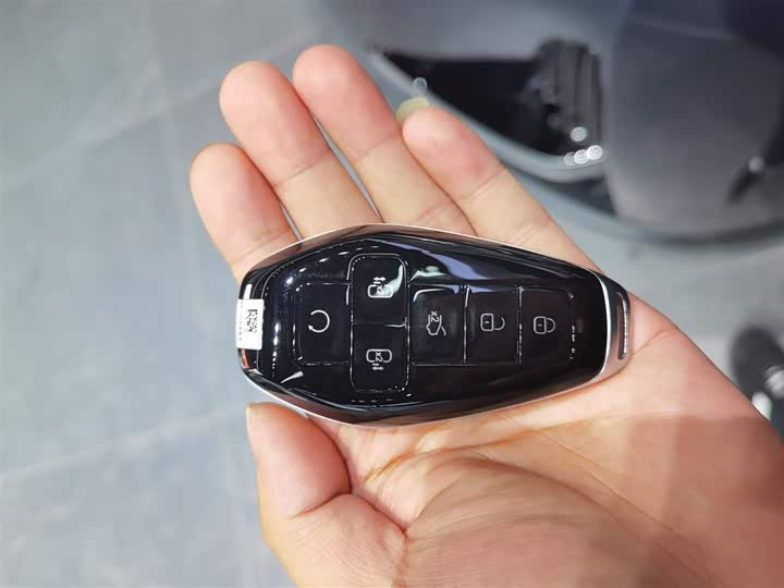 Denza D9 2025 2025款 DM-i 智驾版 1020 四驱旗舰型