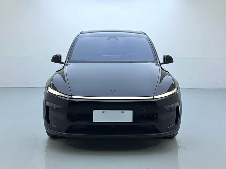 Tesla Model Y 2025 2025款 长续航全轮驱动版
