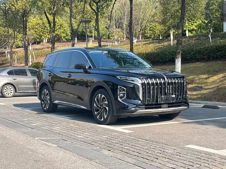 Hongqi HS7 Hybrid 2024 2024款 2.0T PHEV 四驱旗畅版 7座