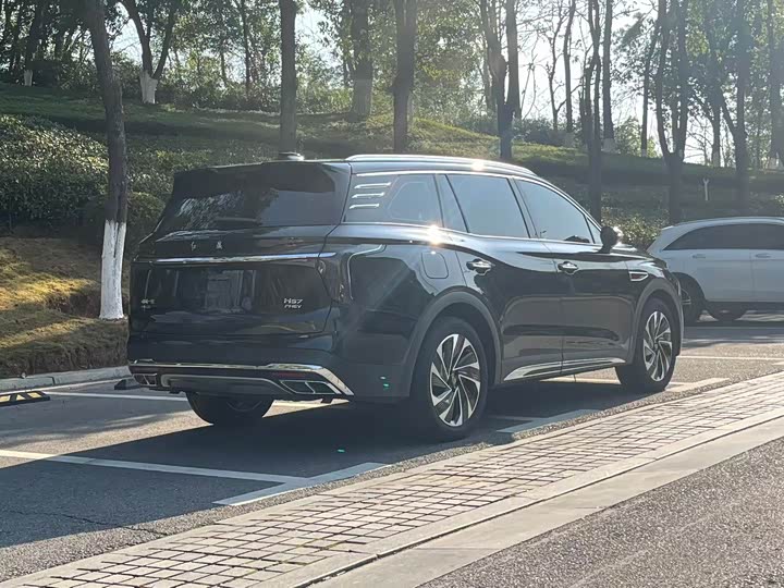 Hongqi HS7 Hybrid 2024 2024款 2.0T PHEV 四驱旗畅版 7座