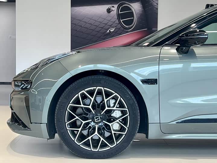 Zeekr 001 2025 2025款 YOU版 100kWh 四驱