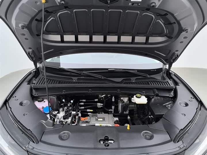 BYD Yuan Up 2025 2025款 智驾版 401KM 领先型