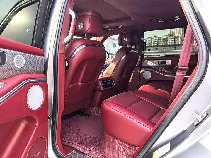 Tank 700 Hybrid 2024 2024款 Hi4-T 极境版