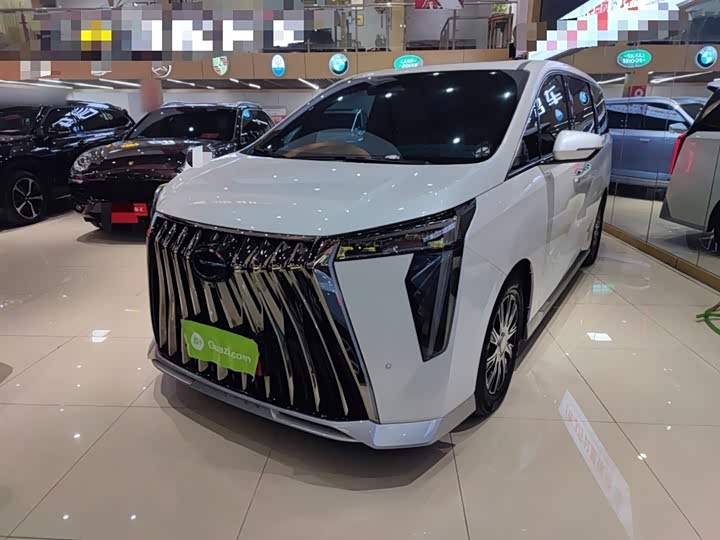 GAC Trumpchi E9 2024 2024款 E9 尊享版