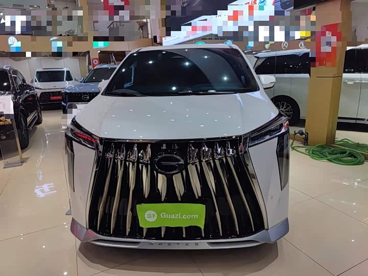 GAC Trumpchi E9 2024 2024款 E9 尊享版