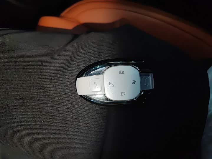 GAC Trumpchi E9 2024 2024款 E9 尊享版