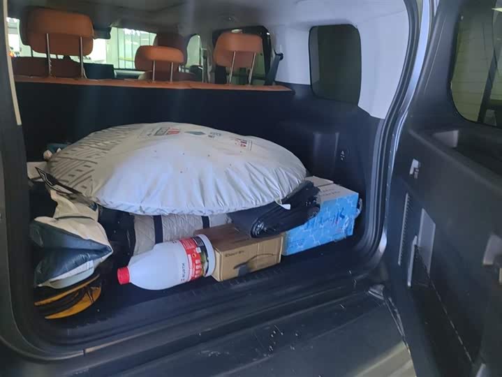 Haval H9 2024 2024款 2.0T 汽油四驱极境版