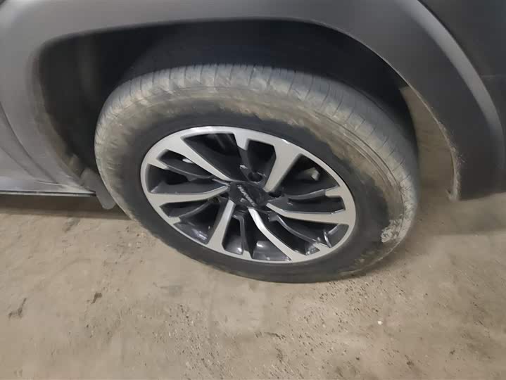 Haval H9 2024 2024款 2.0T 汽油四驱极境版