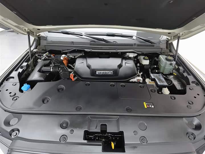 Tank 500 Hybrid 2025 2025款 Hi4-Z