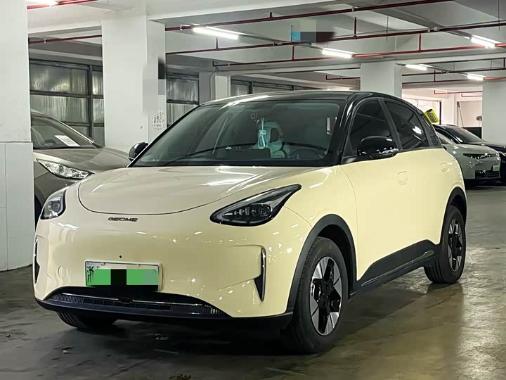Geely Galaxy Geome 2025 2025款 310km 梦想版