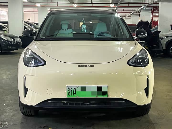 Geely Galaxy Geome 2025 2025款 310km 梦想版