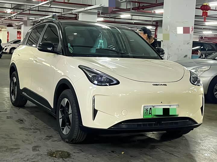 Geely Galaxy Geome 2025 2025款 310km 梦想版