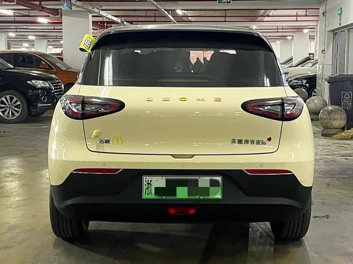 Geely Galaxy Geome 2025 2025款 310km 梦想版