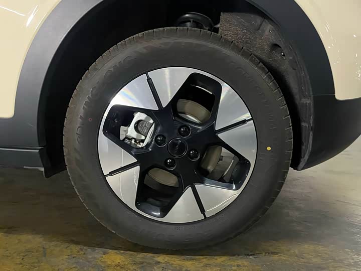 Geely Galaxy Geome 2025 2025款 310km 梦想版