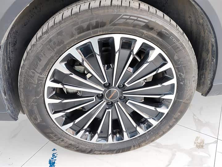 Exeed RX C-DM Hybrid 2024 2024款 1.5T 长续航Pro