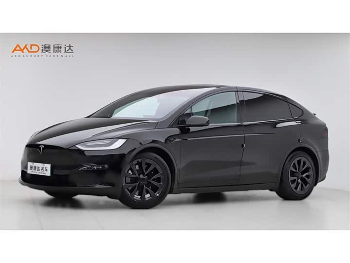 Tesla Model X 2023 2023款 双电机全轮驱动版