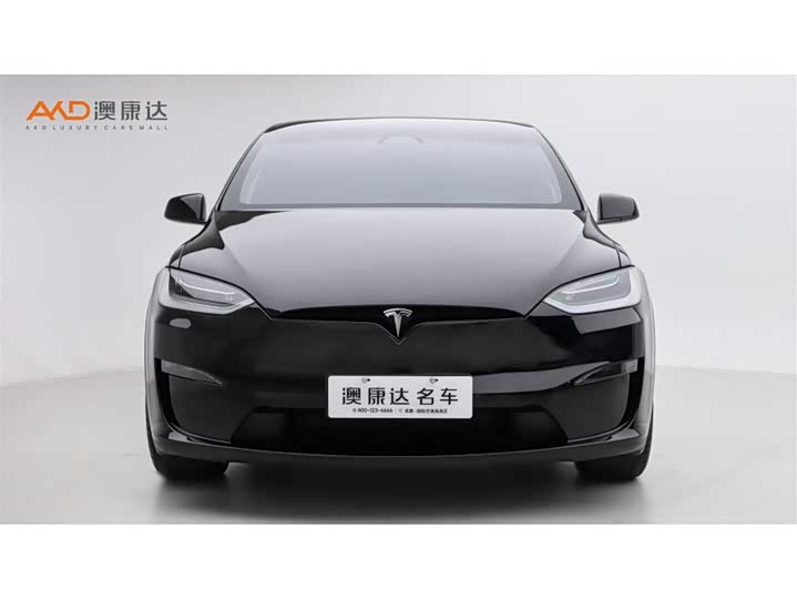 Tesla Model X 2023 2023款 双电机全轮驱动版