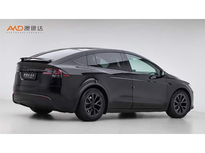 Tesla Model X 2023 2023款 双电机全轮驱动版