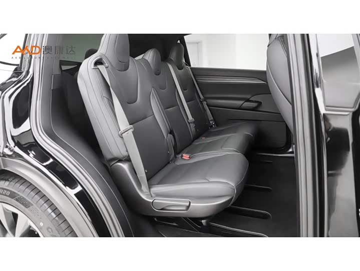 Tesla Model X 2023 2023款 双电机全轮驱动版