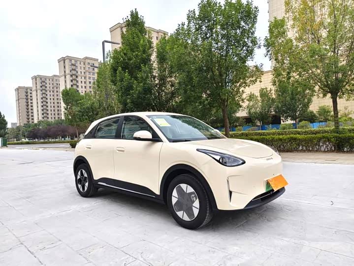 Geely Galaxy Geome 2025 2025款 310km 梦想版