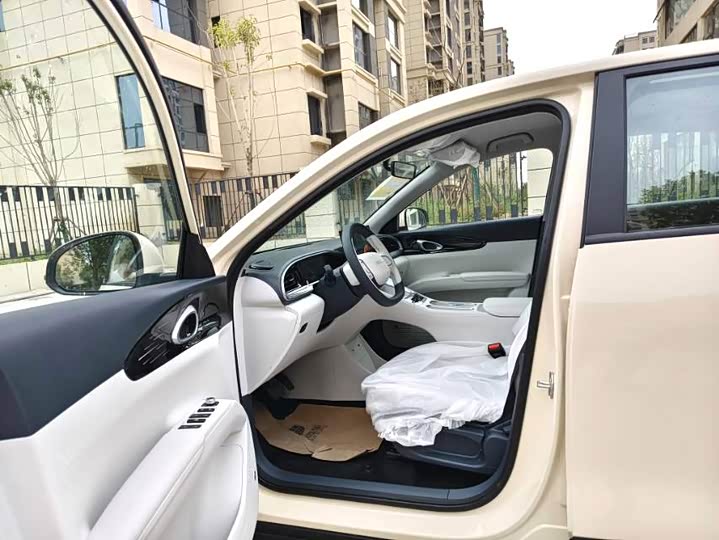 Geely Galaxy Geome 2025 2025款 310km 梦想版