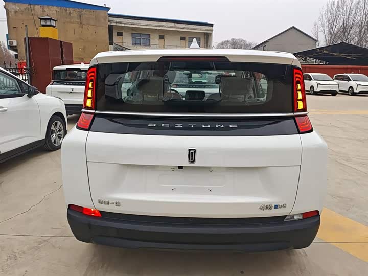 Bestune NAT 2022 2022款 舒享出行版 100kW 425km