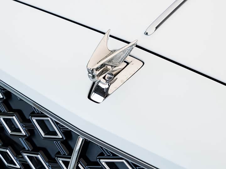 Bentley Flying Spur 2024 2024款 4.0T V8 Mulliner