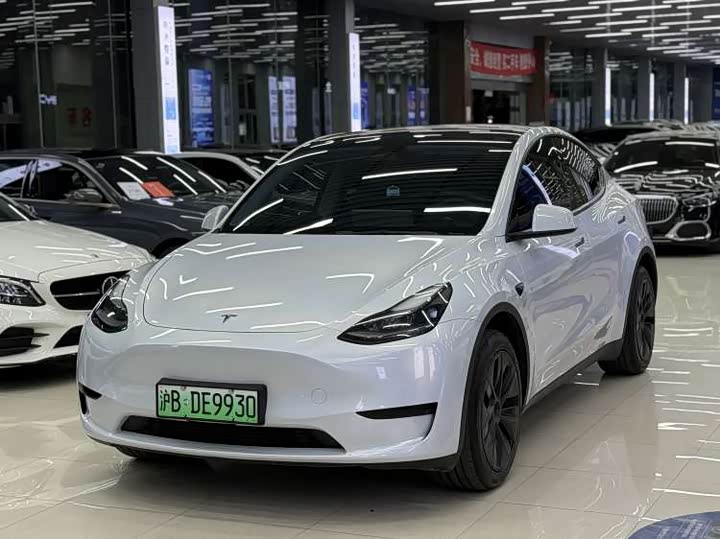 Tesla Model Y 2025 2025款 后轮驱动版