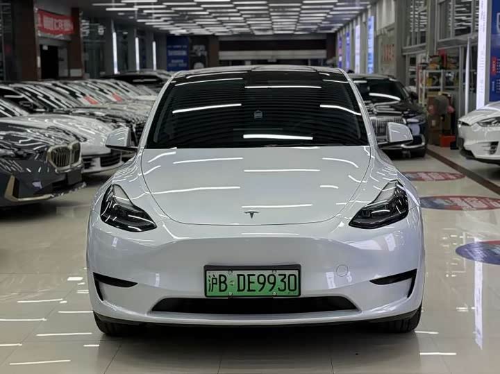 Tesla Model Y 2025 2025款 后轮驱动版