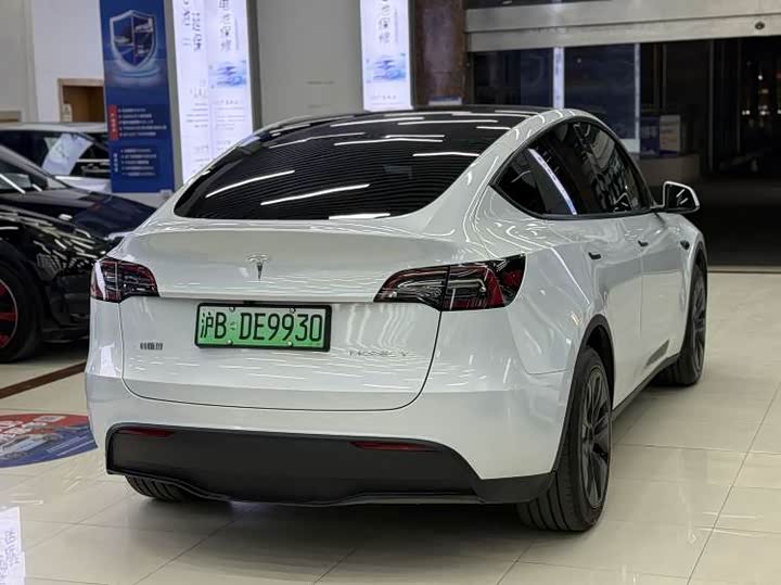 Tesla Model Y 2025 2025款 后轮驱动版