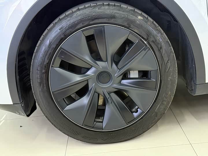 Tesla Model Y 2025 2025款 后轮驱动版